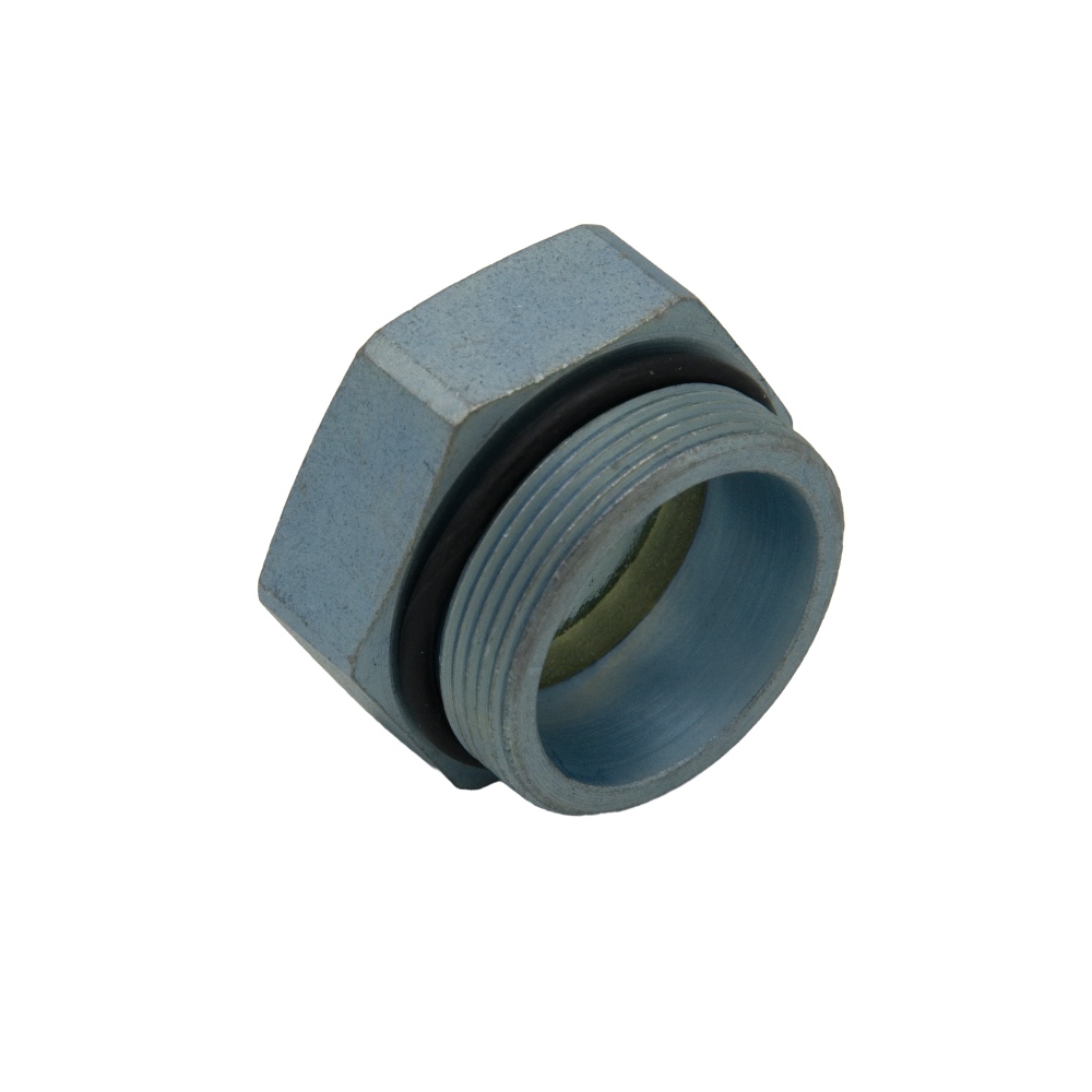 E4VSGH000 EEV Carel Sight Glass CE4VSGH000