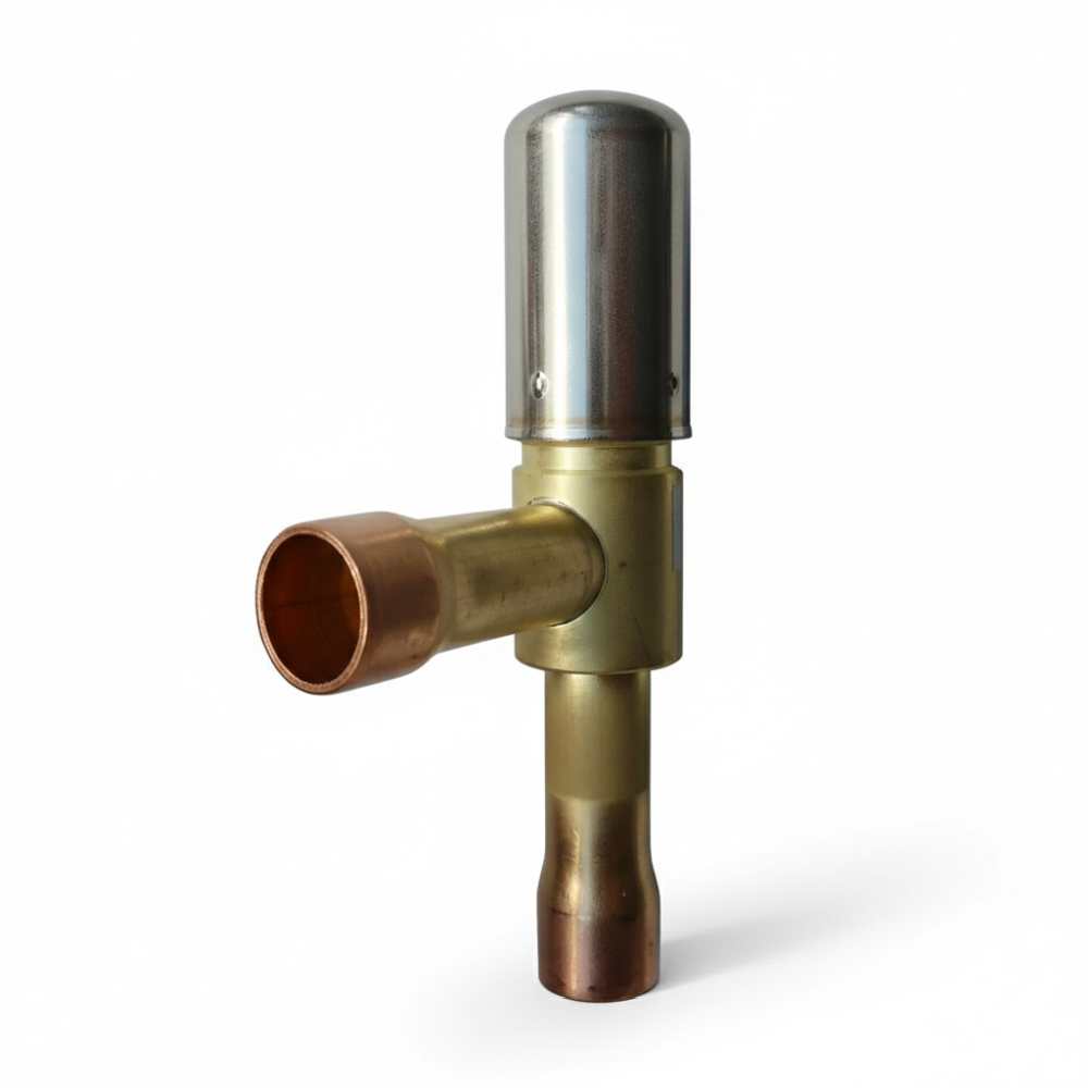 EXN-B2K  Electronic Valve A800421